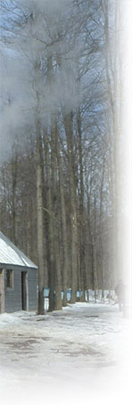 We use our own sap buckets to produce high quality maple syrup.